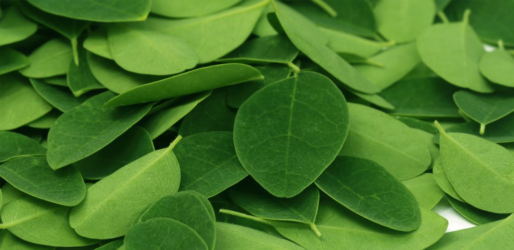 Acheter de la poudre de moringa bio sur la boutique en ligne biologiquement.shop